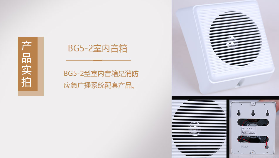 BG5-2室內(nèi)音箱實拍圖