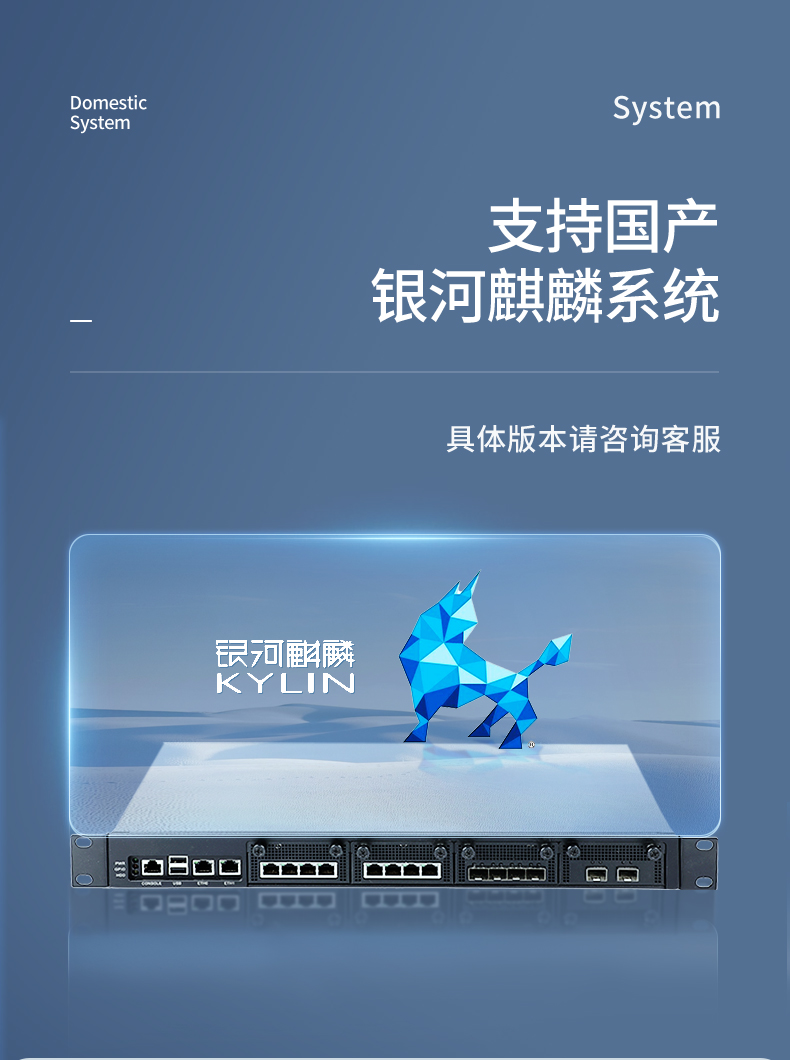 國產(chǎn)多網(wǎng)口工控主機,網(wǎng)絡(luò)安全工業(yè)電腦,DT-12420-SD2000.jpg